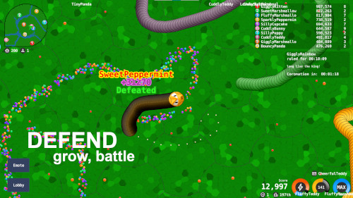 A close call between two snakes