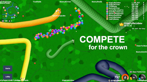 Multiple snakes eating food